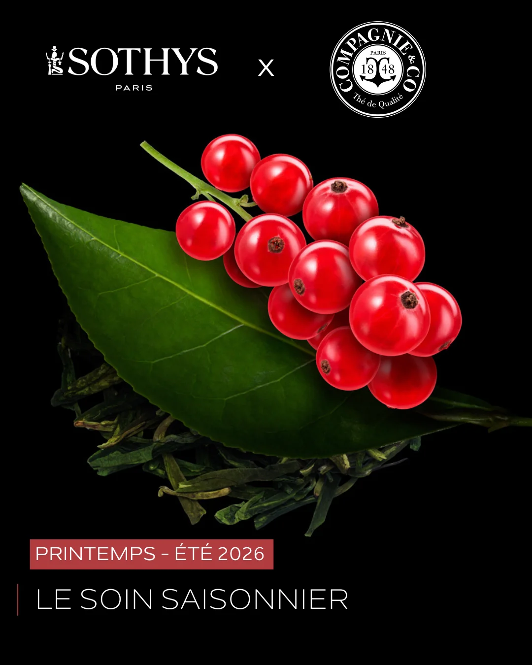 Visuel saison printemps Eté